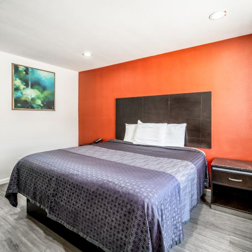 A neatly arranged hotel room with a large bed, red accent wall, bedside table, framed artwork, and a window, featuring simple and clean decor.